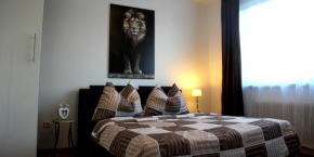 Comfort Linz Apartment, Linz, Österreich
